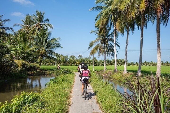 Beyond the City Lights: The Ultimate Guide to a Vietnam Village Cycling Adventure